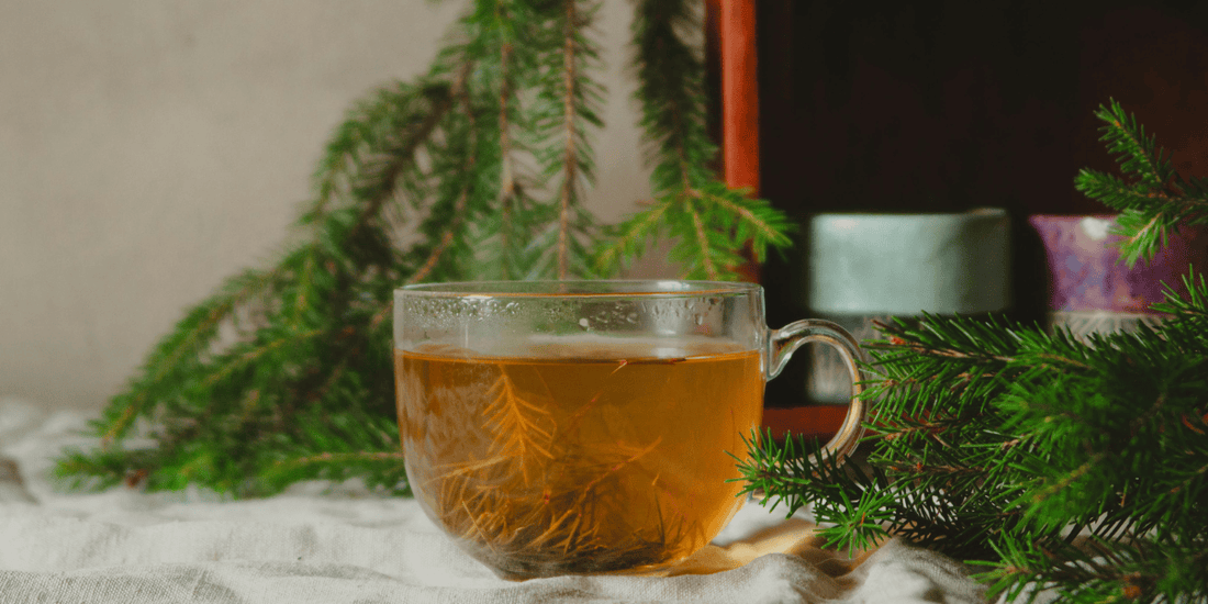 Top Detox Teas to Banish Bloating and Boost Digestion