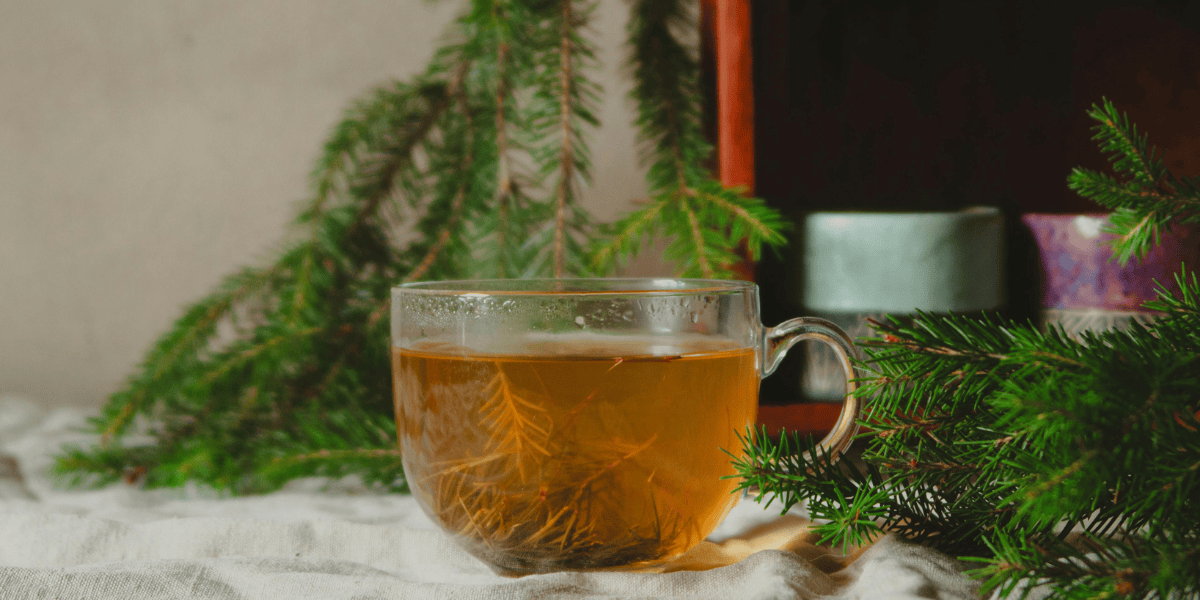 Top Detox Teas to Banish Bloating and Boost Digestion