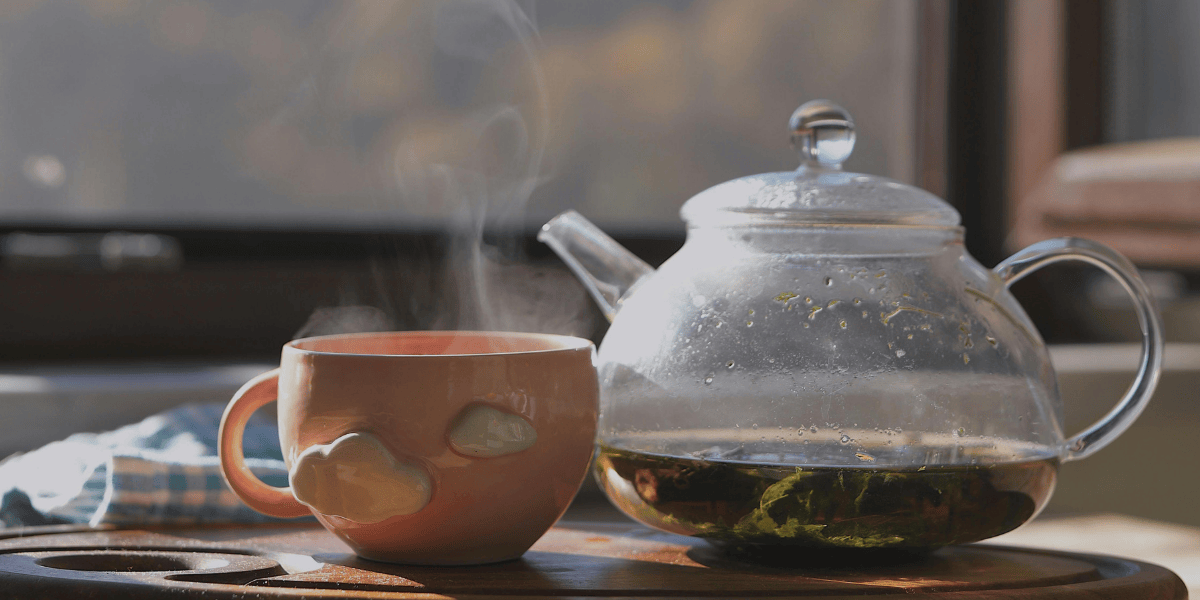 Best Herbal Teas for Winter Immunity (2026 Guide)